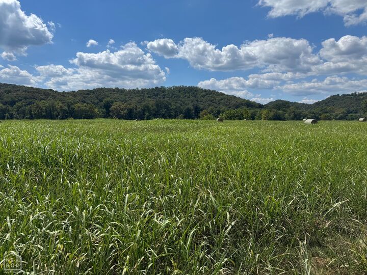 Property Photo: 43 White River Run AR 72540