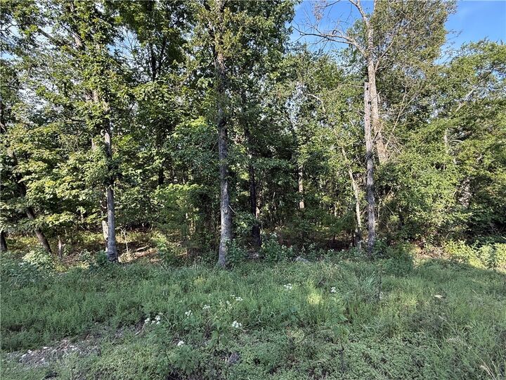 36 Venus Avenue  Holiday Island AR 72631 photo