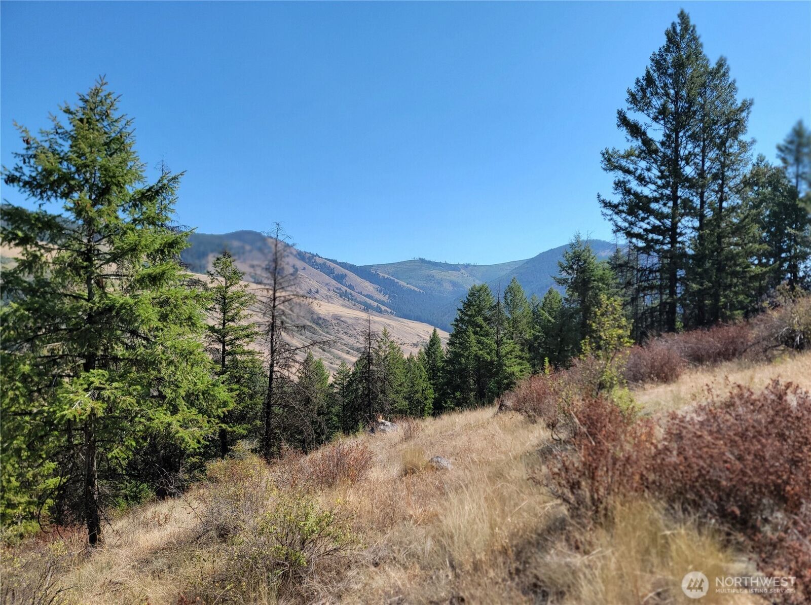 Property Photo:  9999  Lone Ranch Rd  WA 99121 