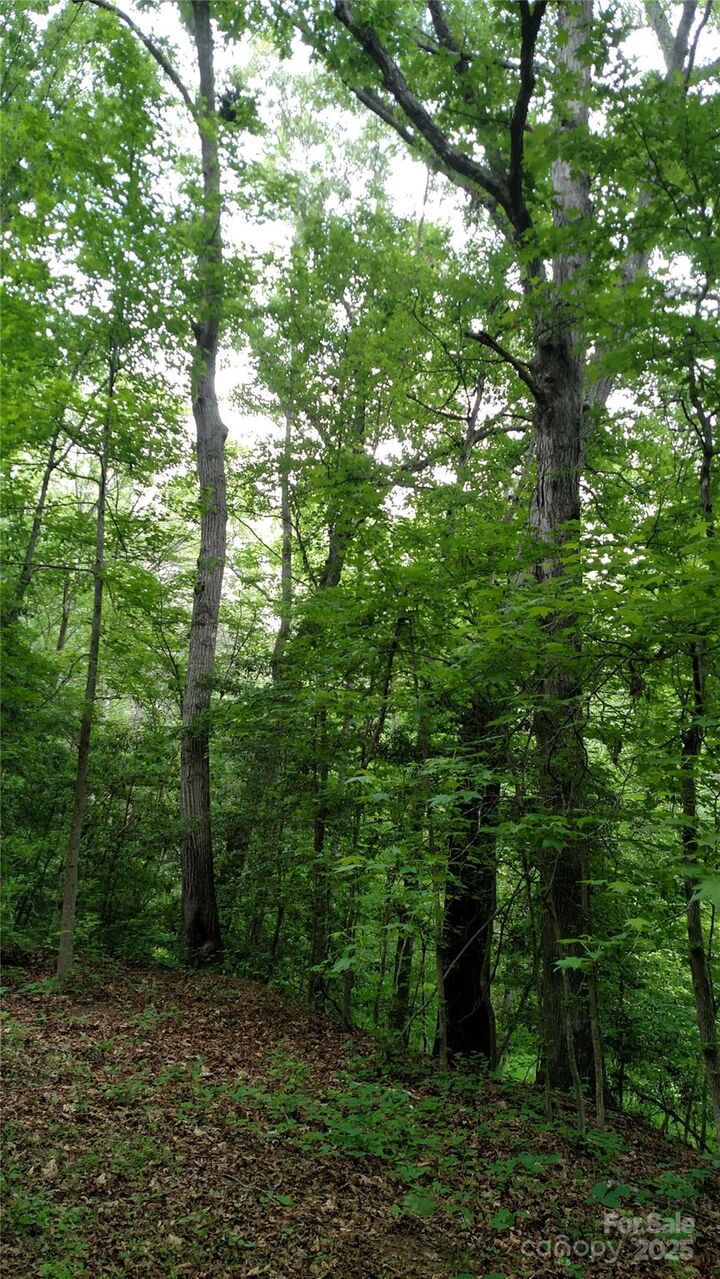Property Photo:  375 Timber Road  NC 28080 