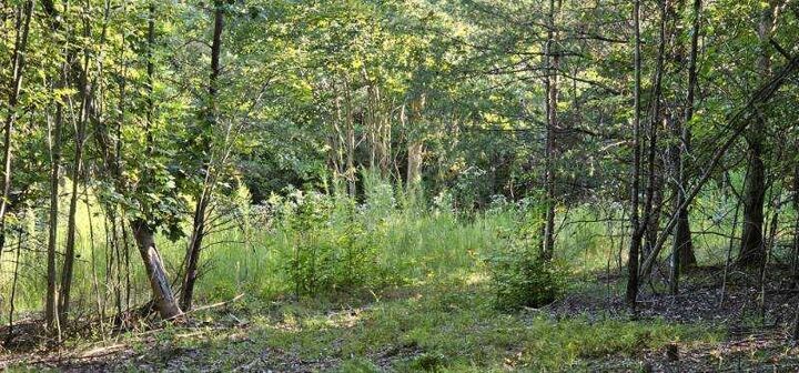 Property Photo: Lot 561 Bluff View Drive TN 37327