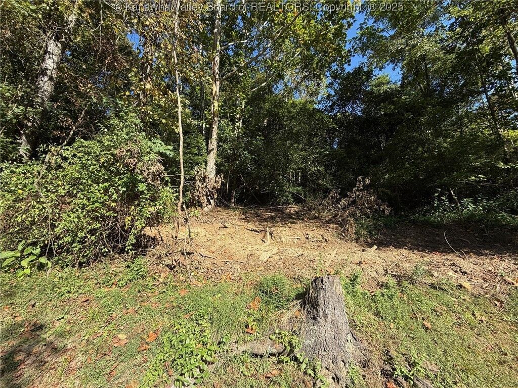 Property Photo: 0 Straight Fork Road WV 25521