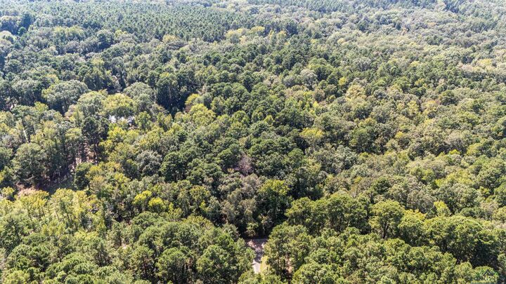 Property Photo:  Tbd Athens Church Rd  TX 75650 