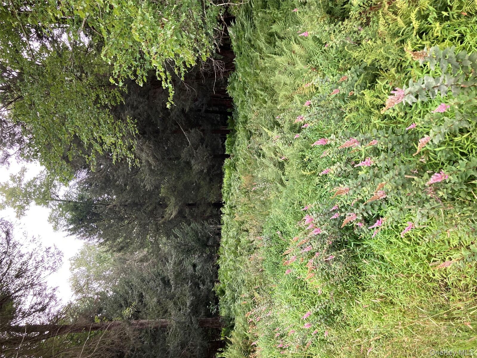 Property Photo:  Jaketown Road  NY  
