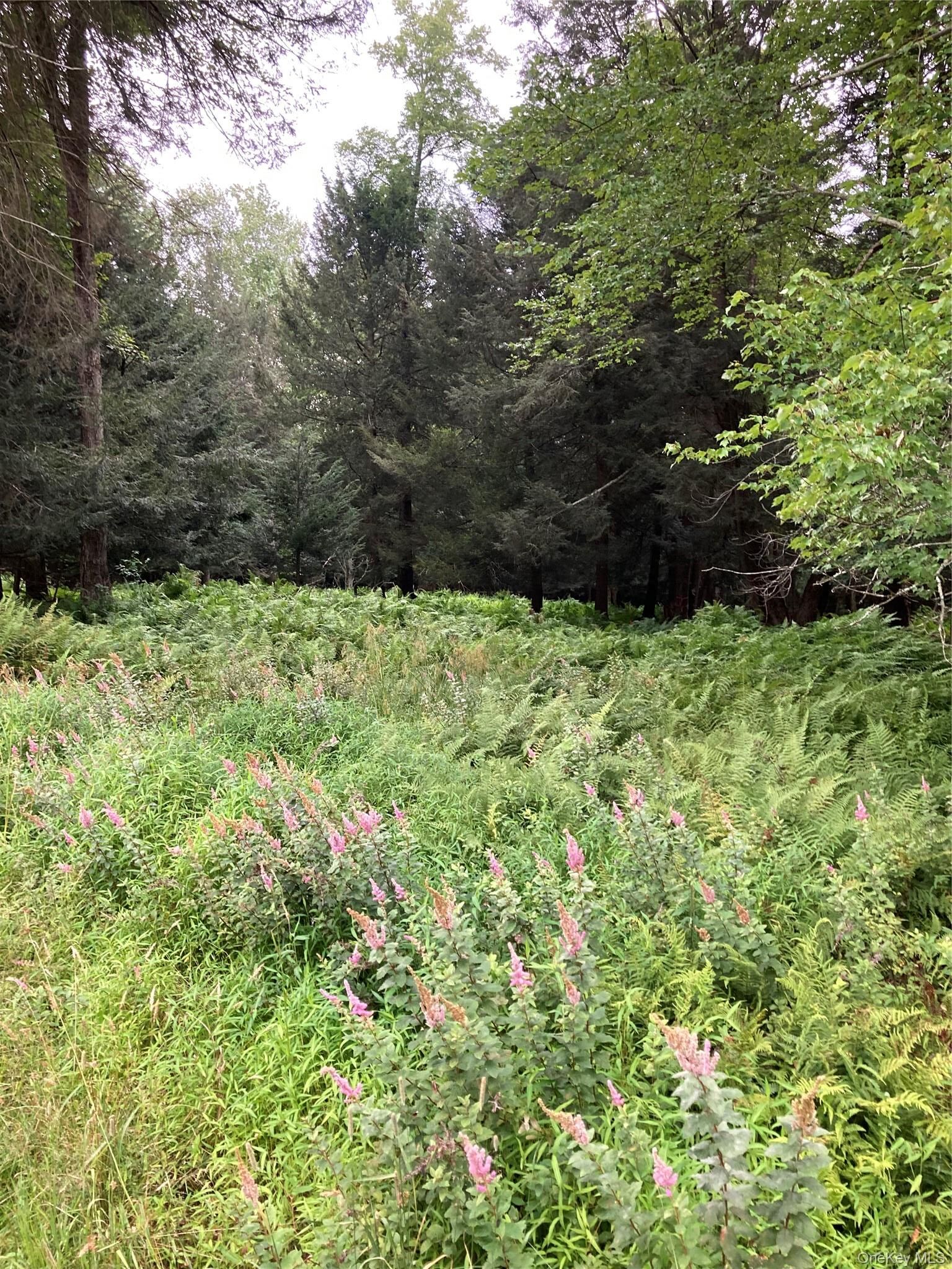 Property Photo: Jaketown Road NY