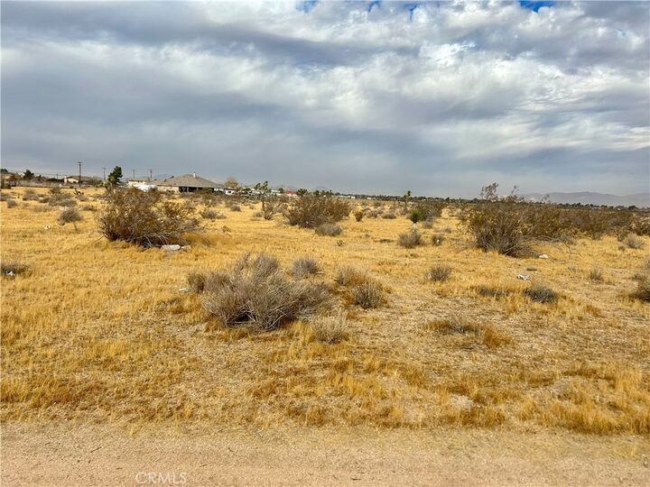 Property Photo:  65 Kiowa  CA 92308 