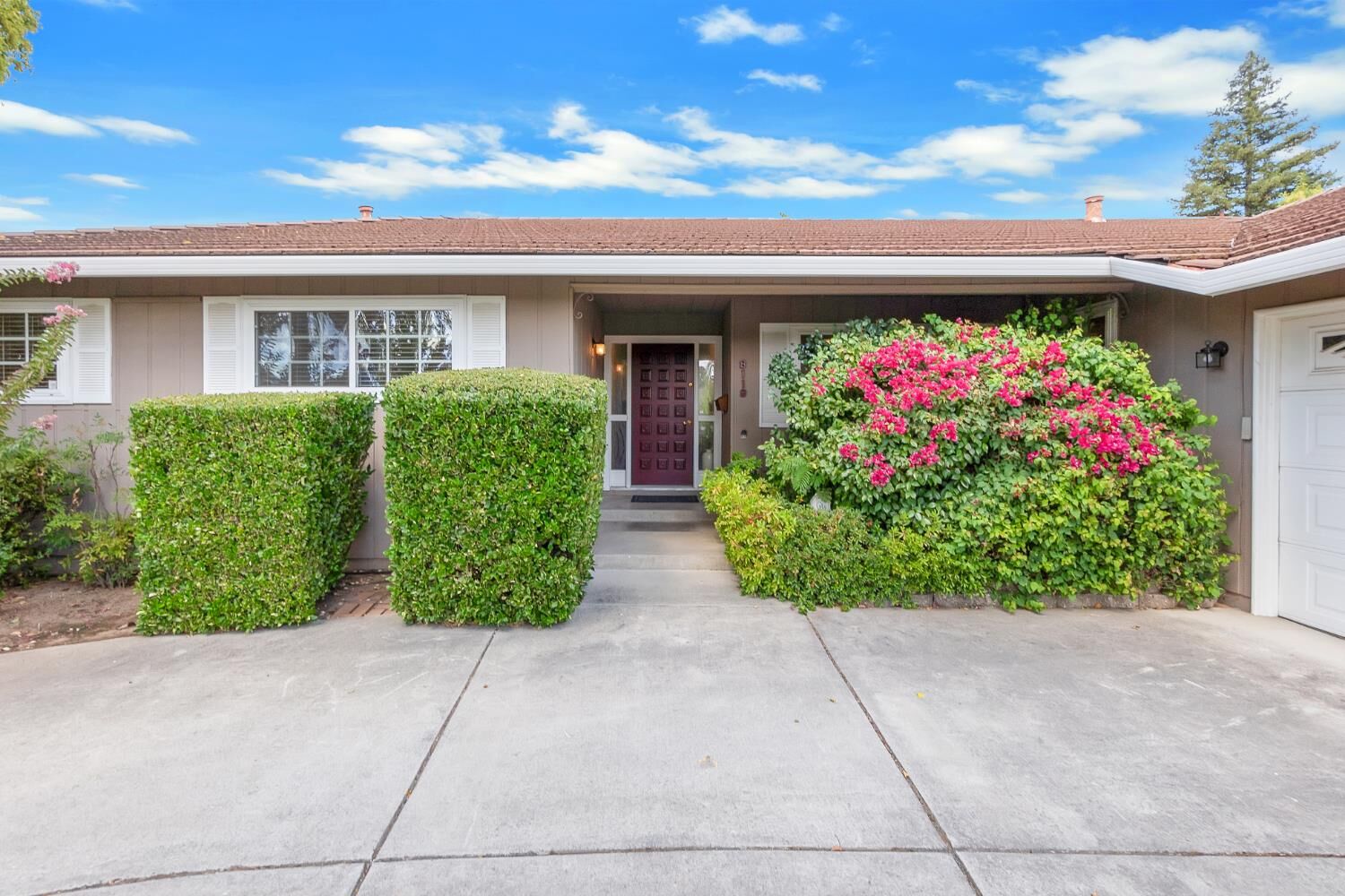 Property Photo:  8119 Treecrest Avenue  CA 95628 