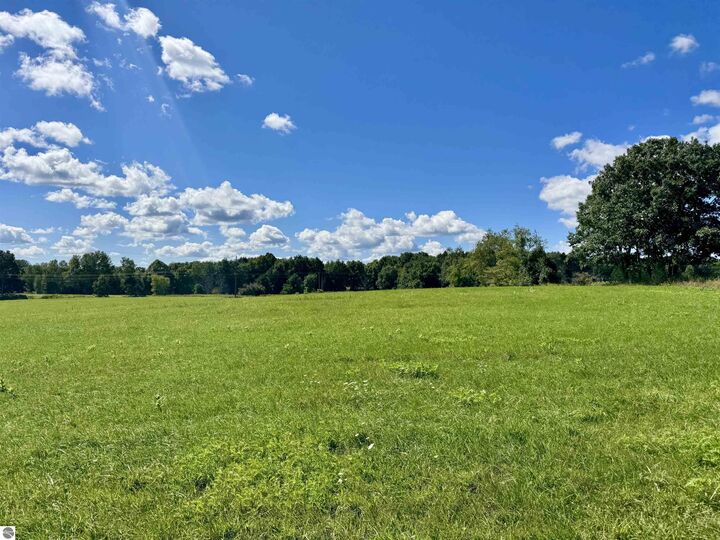 Property Photo:  Parce A N Elm Avenue  MI 49349 