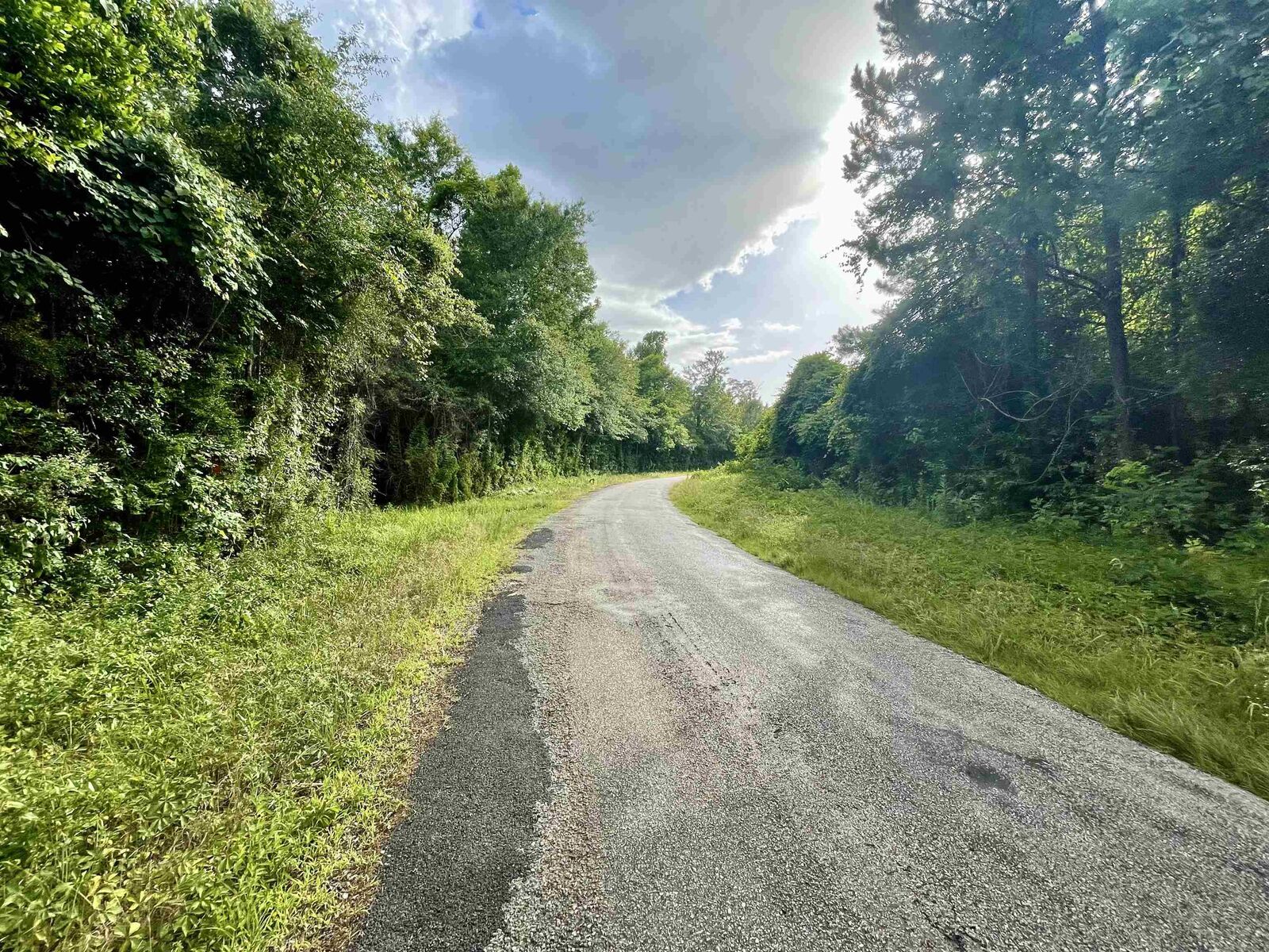 Property Photo:  Tract 2 County Road 786  TX 77612 