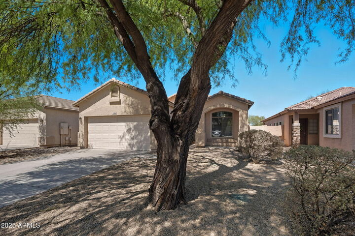 Property Photo: 2746 E Morenci Road AZ 85143