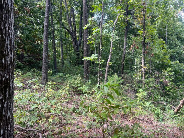 Property Photo:  6792 Silver Creek Lane  NC 28655 