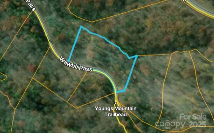 Property Photo:  00 Wambli Pass  NC 28746 