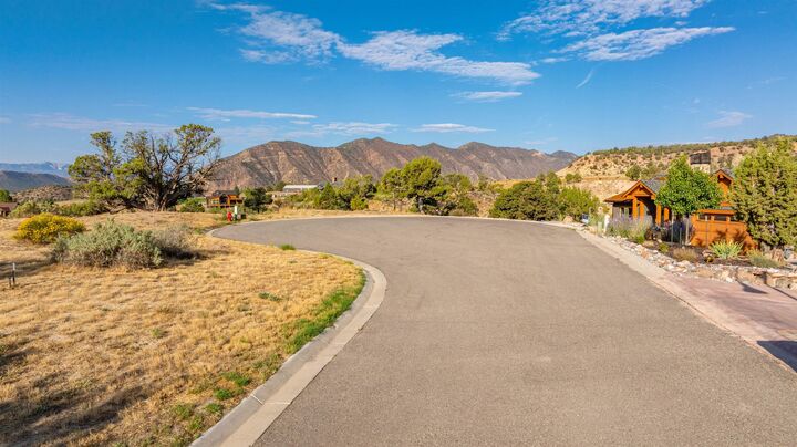 Property Photo:  29 Stag Court  CO 81647 