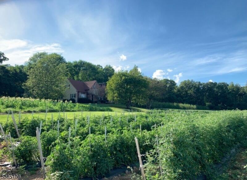 Property Photo: 193 Parker Rd NJ 07853