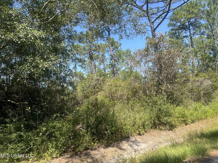 Property Photo:  Leggett Road  MS 39560 