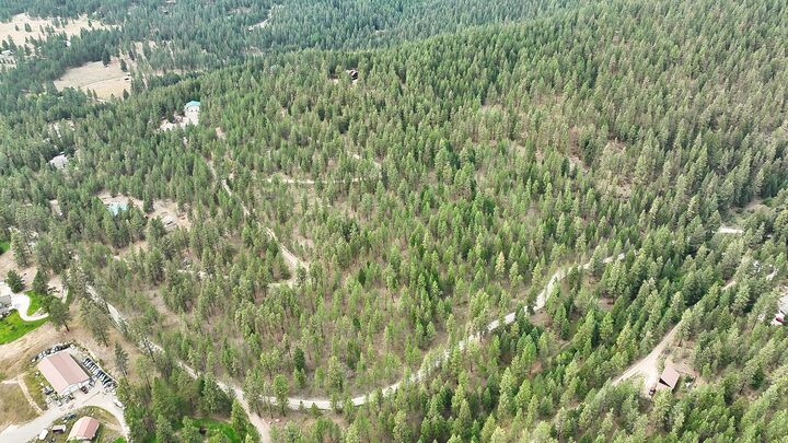 Property Photo: Nhn Roman Creek Road MT 59834