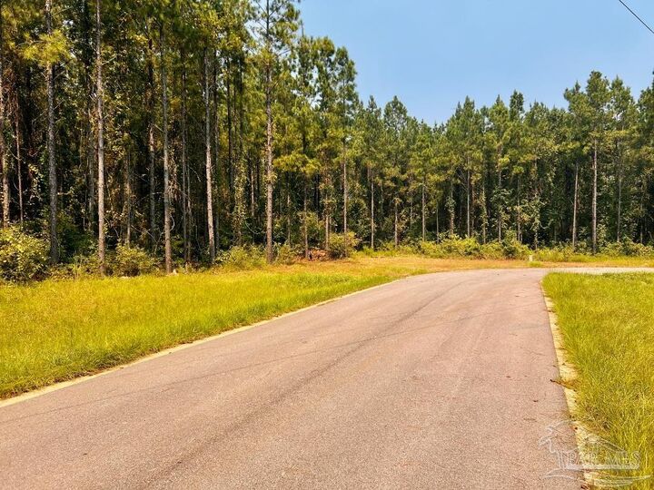 Property Photo:  Lot 15-SW Bashi Rd  FL 32571 