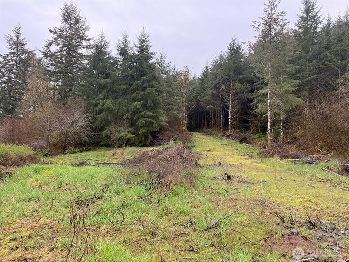 Property Photo:  0  Bunker Creek Road  WA 98522 