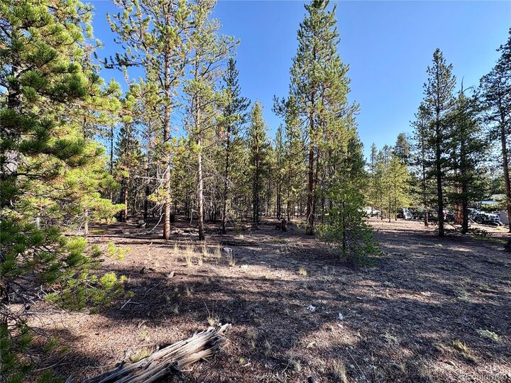 Property Photo:  776 Birch Drive  CO 80461 