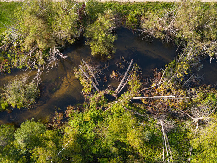 Property Photo:  13363 Baird Road  MI 49799 