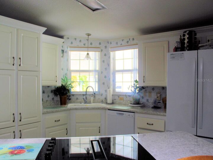 Property Photo: 25 Thatch Palm Street W FL 33770