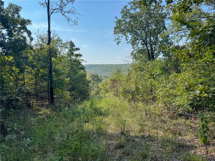 Property Photo: 98440 Hwy 59 OK 74955