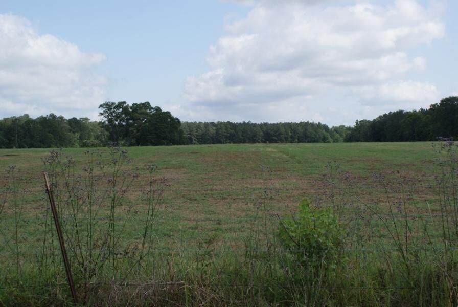 Property Photo:  Magnolia Loop Tract 5  LA 70634 