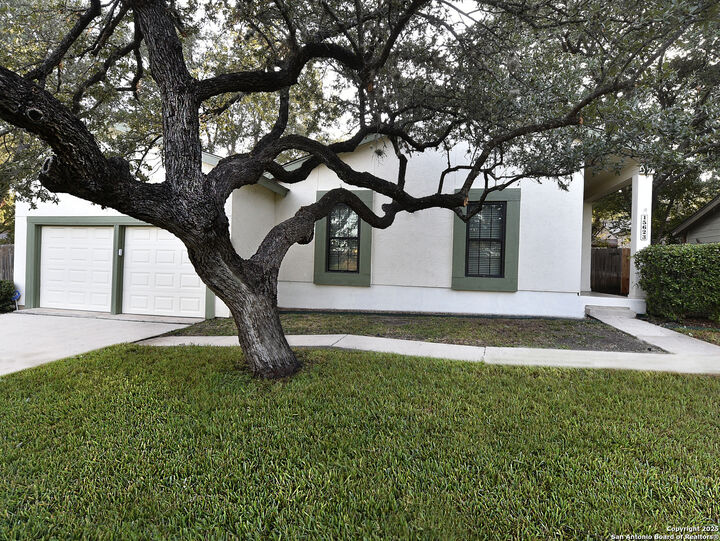 15623 Boulder Creek St  San Antonio TX 78247 photo