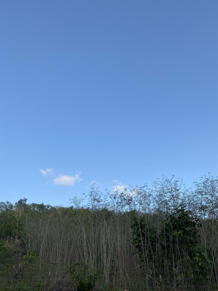 Property Photo:  4 Of 137 Mt. Welcome Ea  VI 00820