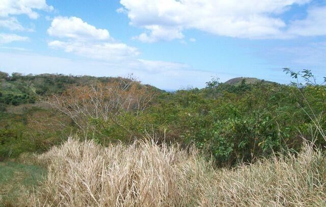 Property Photo:  29 Mt. Victory Na  VI 00840