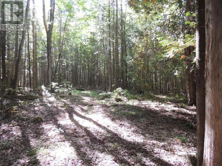 Property Photo:  596244 Concession 10  ON N0H 1R0 