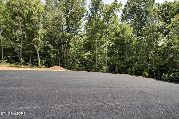 Property Photo:  199 Canter Way  TN 37771 