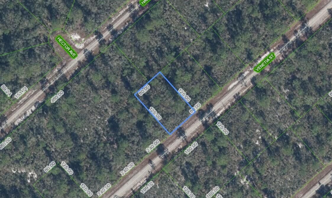 Property Photo:  3535 Venetia Street  FL 33852 