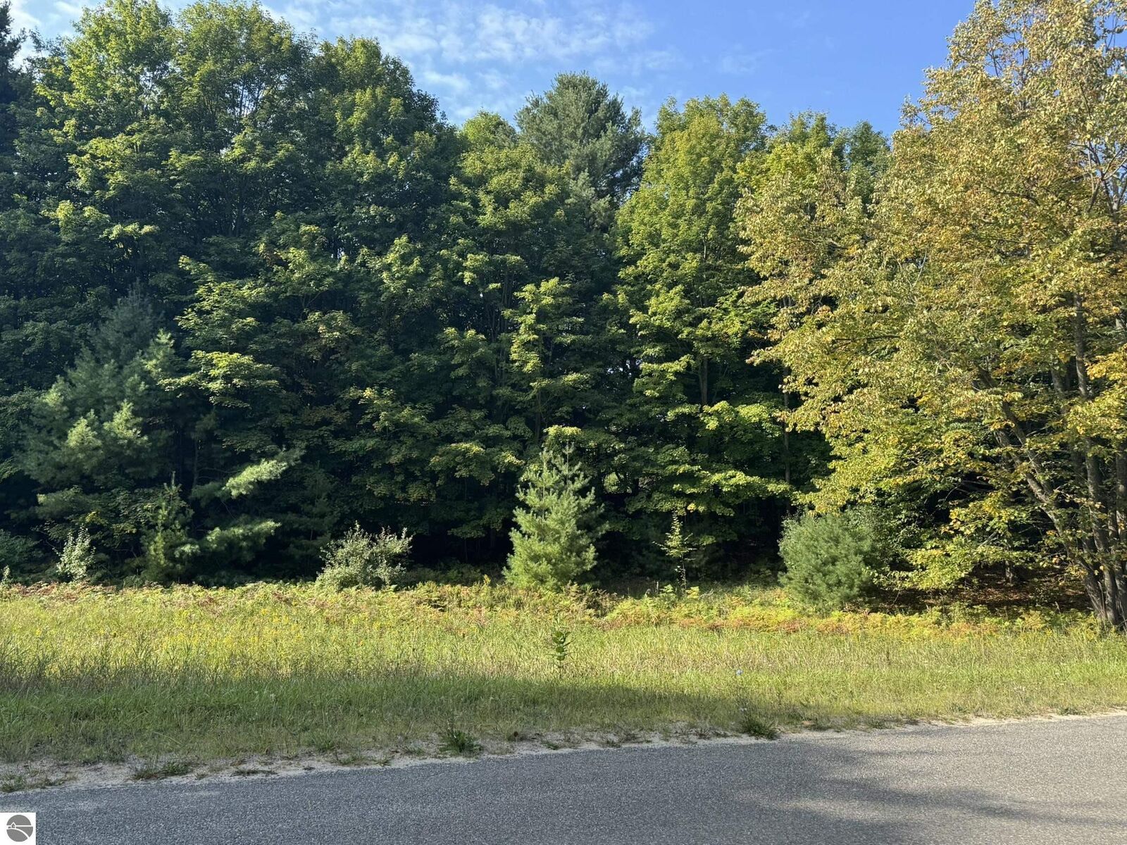 Property Photo:  Lot 5 E Old Mountain Road  MI 49621 