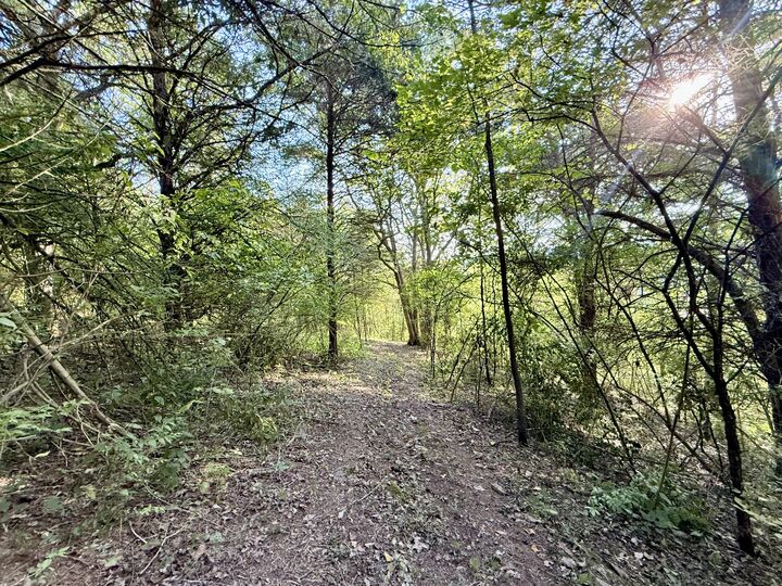 Property Photo:  57 +/- Acres Conley Road  KY 41063 