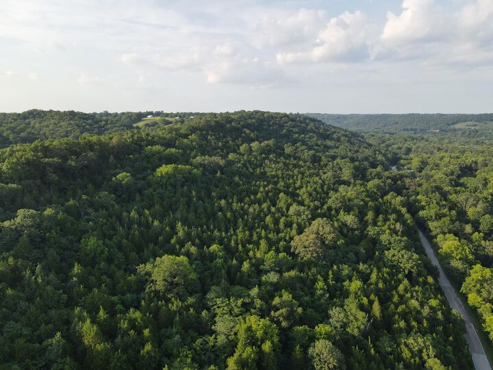 Property Photo: 57 +/- Acres Conley Road KY 41063