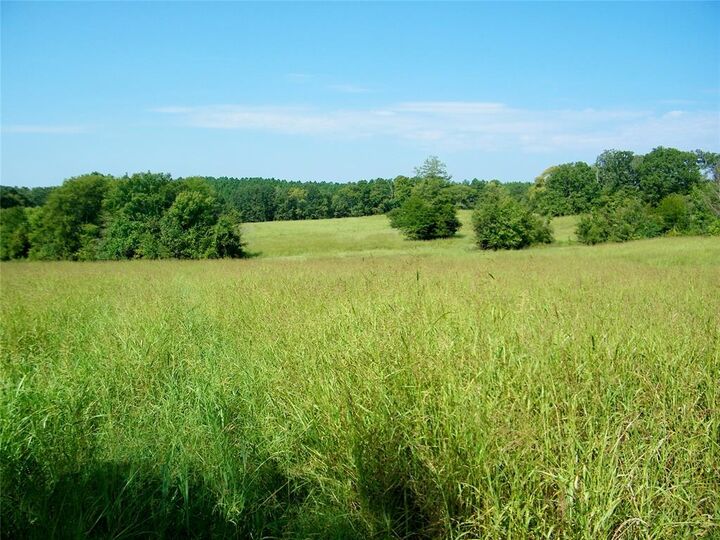 901 Sycamore Bend Loop  Broken Bow OK 74728 photo