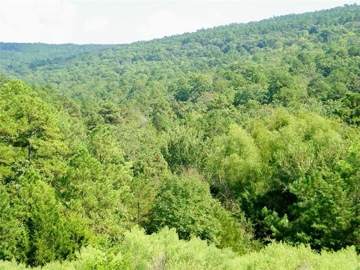 Property Photo: Mountain Road OK 74957