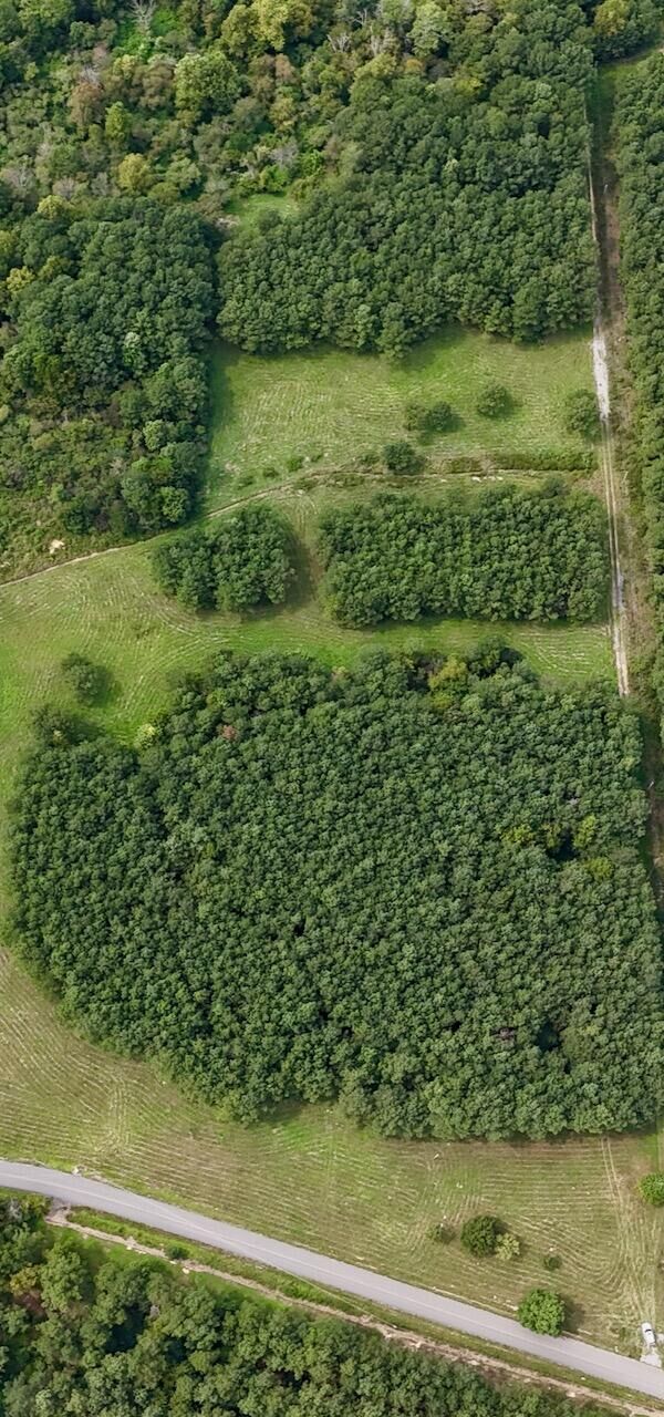 Property Photo: 00 Bucks Pocket Road SE TN 37362