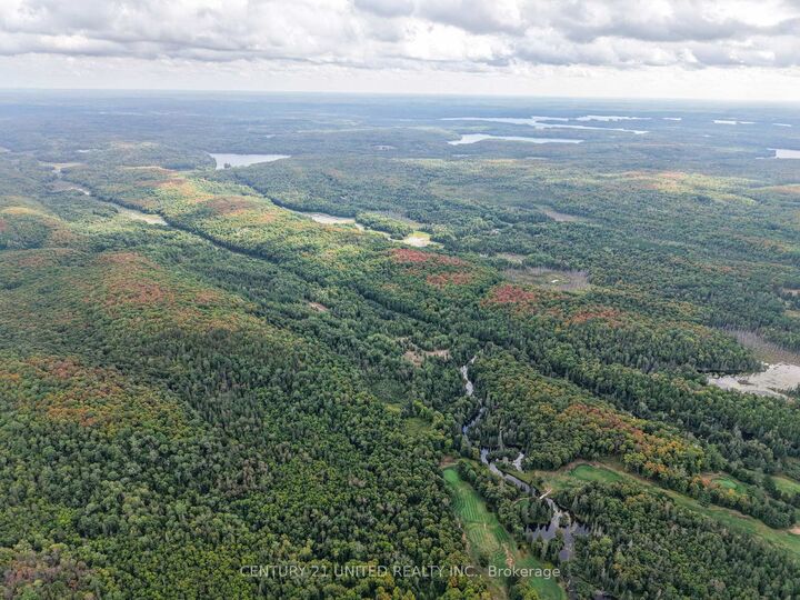 428 Jeff Road  North Kawartha ON K0L 1C0 photo