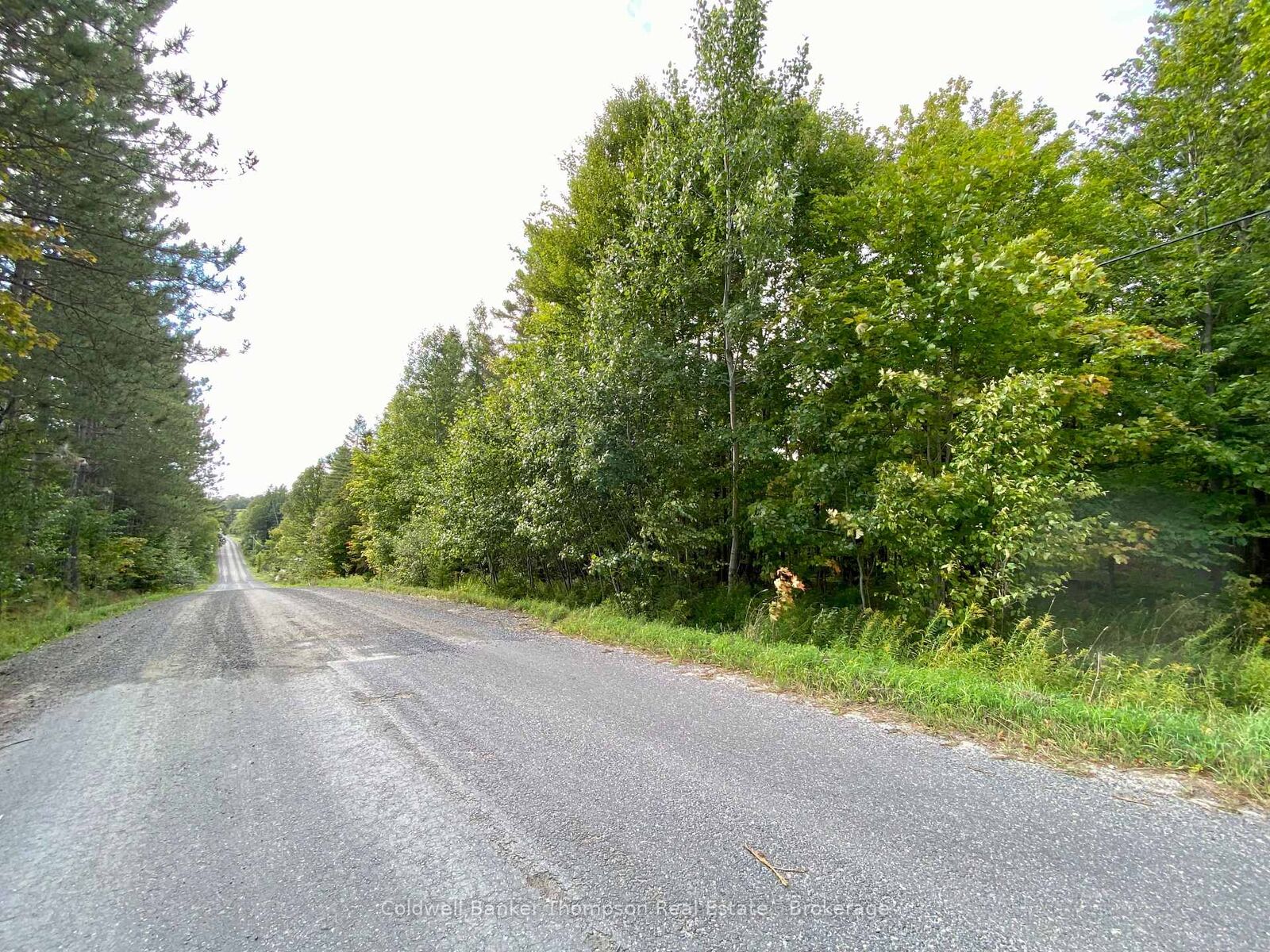 Property Photo:  0 Clear Lake Road N  ON P0H 1A0 