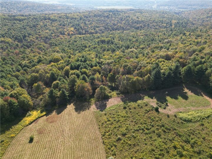 Property Photo: 330 Tallow Hill Road NY 14883