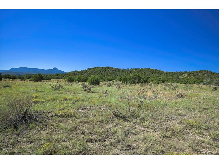 Property Photo:  37250 Kunzite Rd  CO 81082 