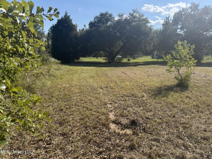 Property Photo:  1233 Tannertown Road  MS 39452 