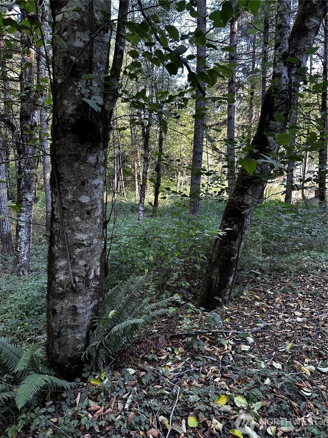 Property Photo: 14413 109th Street SW WA 98329