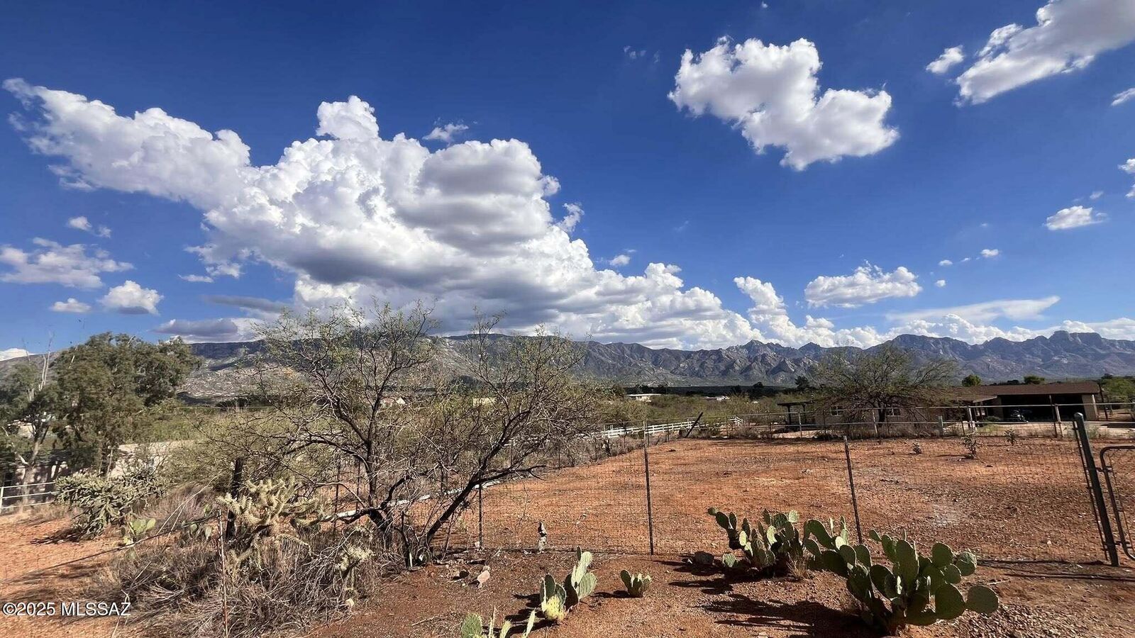 Property Photo:  16531 N Columbus Boulevard  AZ 85739 