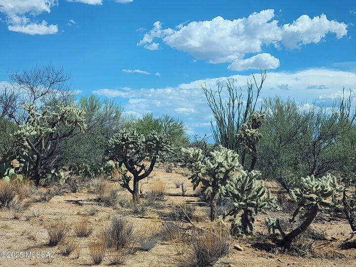 Property Photo:  14485 W Diamond Bell Ranch Road 403  AZ 85736 