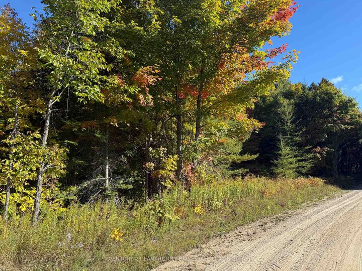 Property Photo:  1794 St Ola Road  ON K0L 1W0 