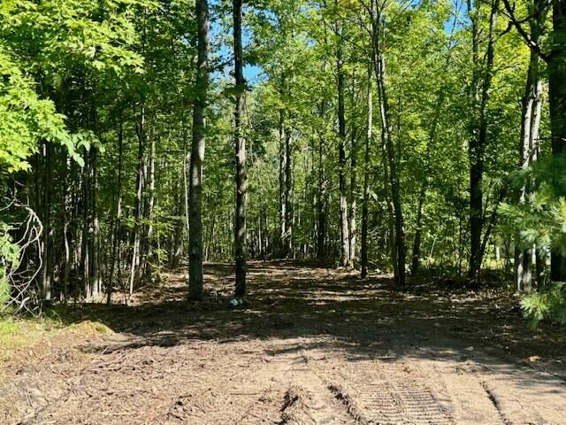 Parcel A Long Lake Rd  Cheboygan MI 49721 photo