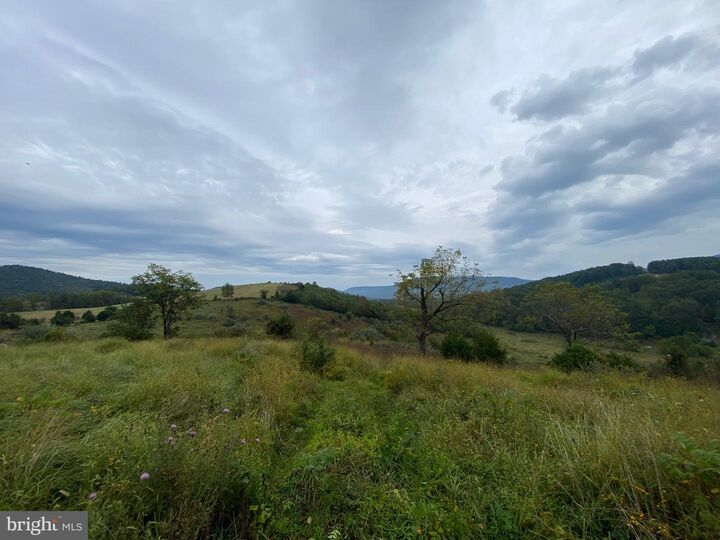 Property Photo:  Gooney Manor Loop  VA 22610 